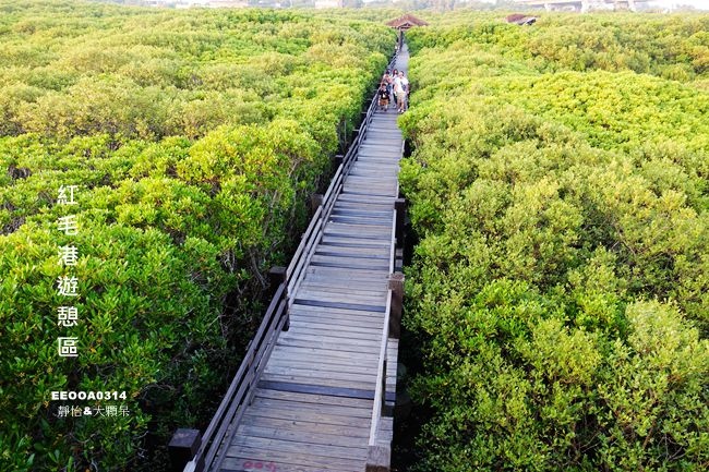 新豐紅毛港遊憩區-紅樹林生態保護區