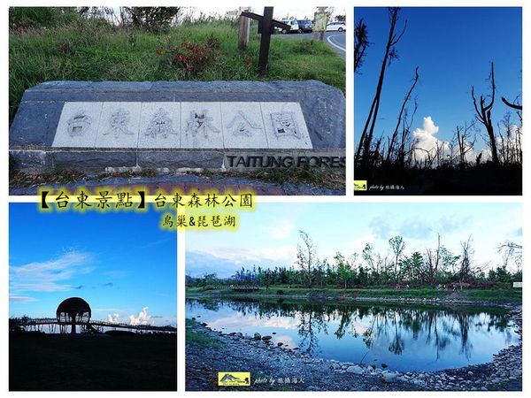 【台東旅遊景點】台東森林公園前觀看台東國際地標「鳥巢」，走進琵琶湖看春秋
